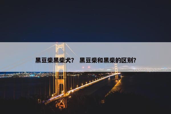 黑豆柴黑柴犬？ 黑豆柴和黑柴的区别？