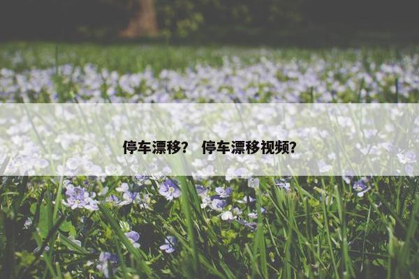 停车漂移？ 停车漂移视频？