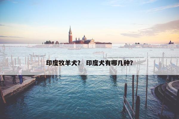 印度牧羊犬？ 印度犬有哪几种？