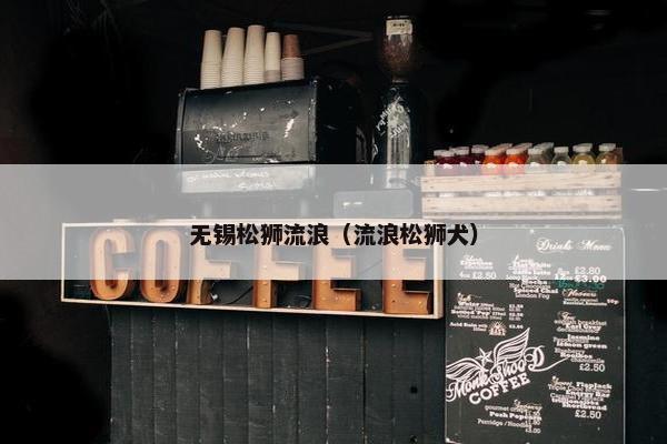 无锡松狮流浪（流浪松狮犬）