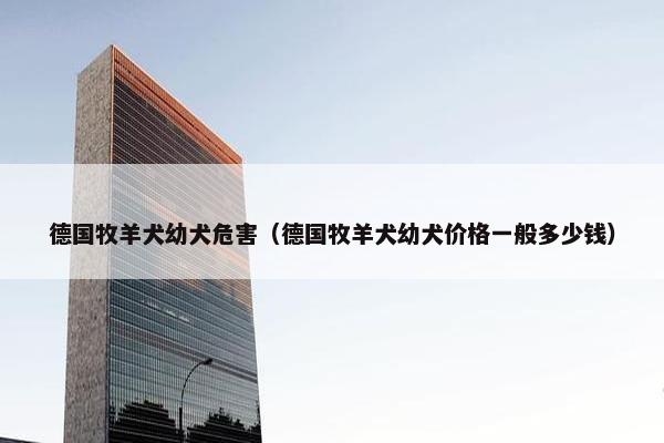 德国牧羊犬幼犬危害（德国牧羊犬幼犬价格一般多少钱）