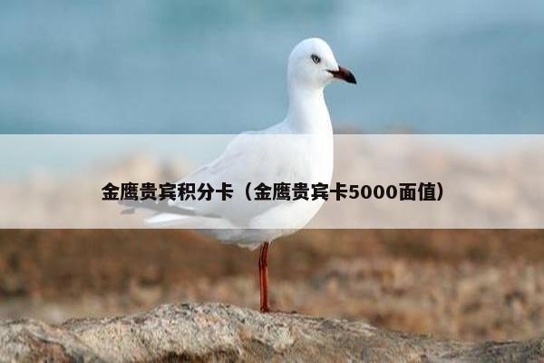 金鹰贵宾积分卡（金鹰贵宾卡5000面值）