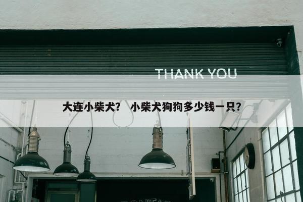 大连小柴犬？ 小柴犬狗狗多少钱一只？