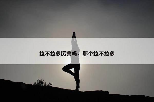 拉不拉多厉害吗，那个拉不拉多