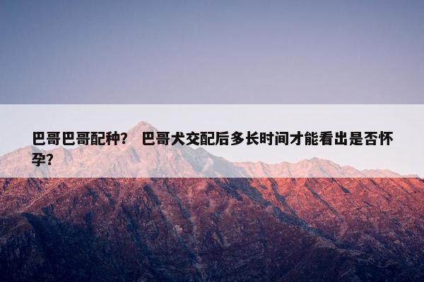 巴哥巴哥配种？ 巴哥犬交配后多长时间才能看出是否怀孕？