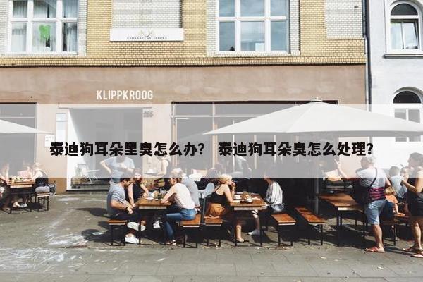 泰迪狗耳朵里臭怎么办？ 泰迪狗耳朵臭怎么处理？