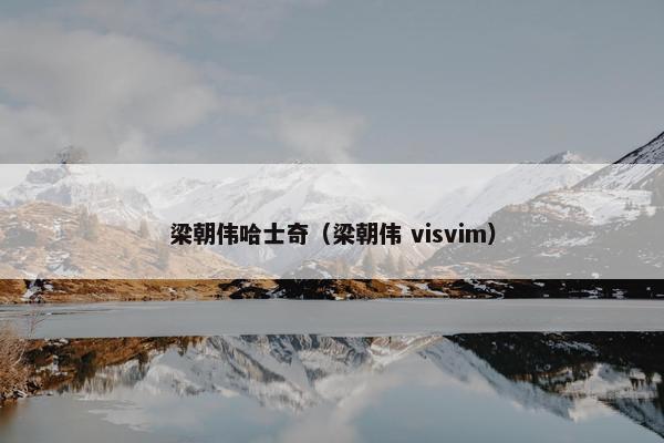 梁朝伟哈士奇（梁朝伟 visvim）