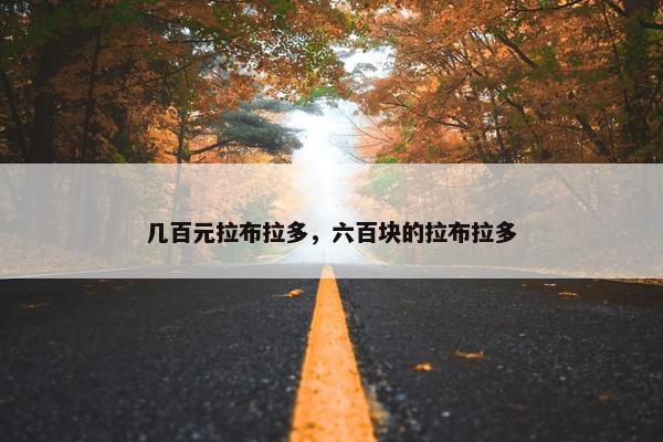 几百元拉布拉多，六百块的拉布拉多