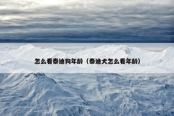 怎么看泰迪狗年龄（泰迪犬怎么看年龄）