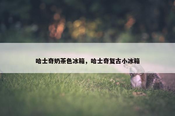 哈士奇奶茶色冰箱，哈士奇复古小冰箱