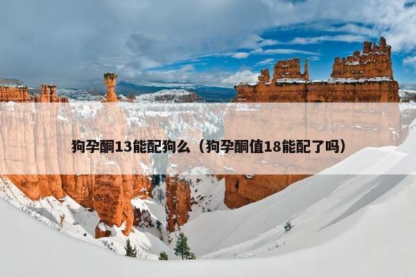 狗孕酮13能配狗么（狗孕酮值18能配了吗）
