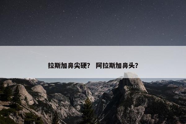 拉斯加鼻尖硬？ 阿拉斯加鼻头？