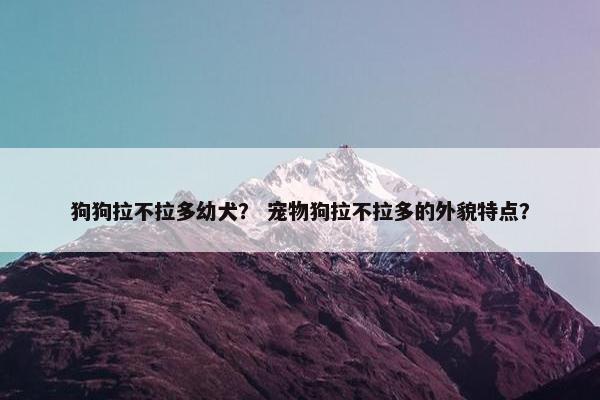 狗狗拉不拉多幼犬？ 宠物狗拉不拉多的外貌特点？