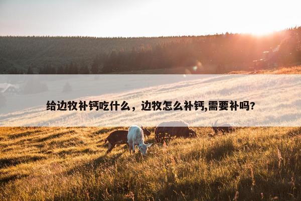 给边牧补钙吃什么，边牧怎么补钙,需要补吗?