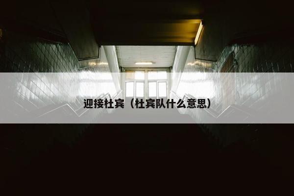 迎接杜宾（杜宾队什么意思）