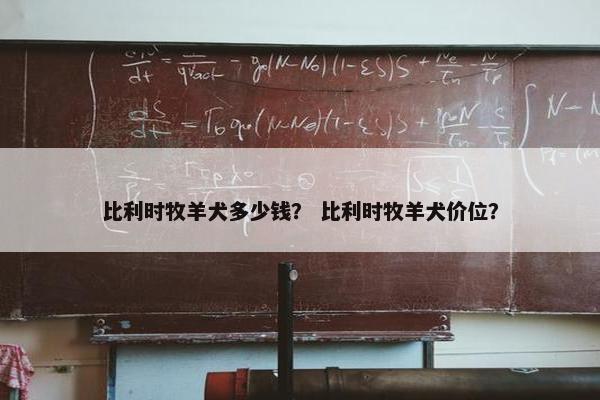 比利时牧羊犬多少钱？ 比利时牧羊犬价位？