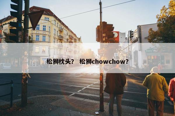 松狮枕头？ 松狮chowchow？