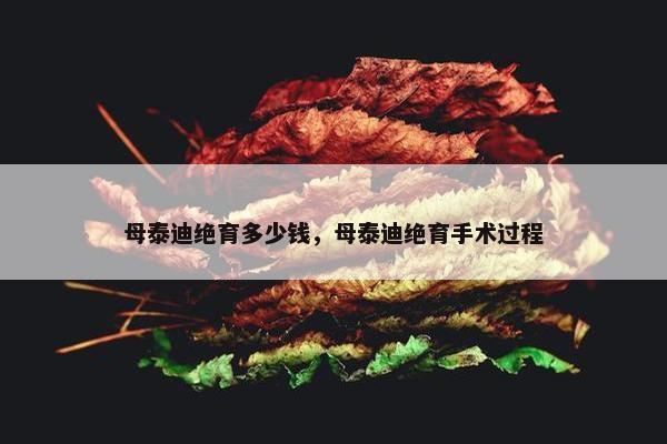 母泰迪绝育多少钱，母泰迪绝育手术过程