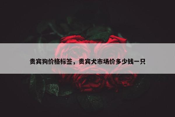 贵宾狗价格标签，贵宾犬市场价多少钱一只
