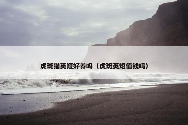 虎斑猫英短好养吗（虎斑英短值钱吗）