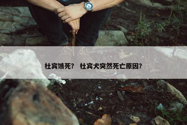 杜宾饿死？ 杜宾犬突然死亡原因？