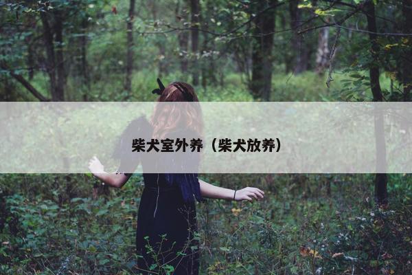 柴犬室外养（柴犬放养）