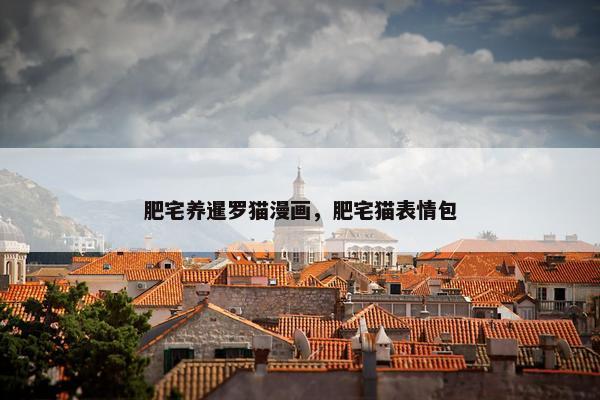 肥宅养暹罗猫漫画，肥宅猫表情包