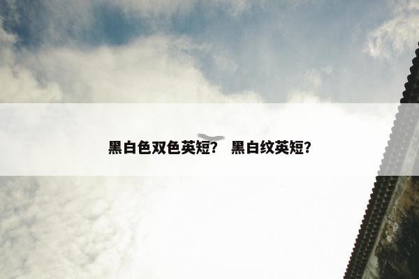黑白色双色英短？ 黑白纹英短？