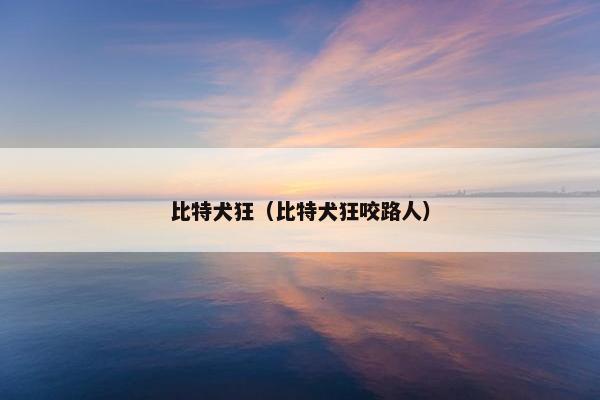 比特犬狂（比特犬狂咬路人）