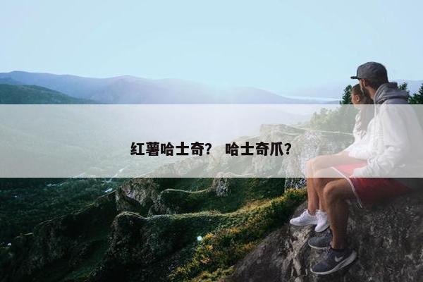 红薯哈士奇？ 哈士奇爪？
