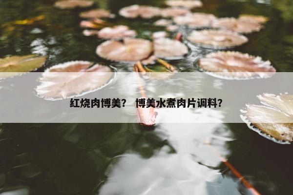 红烧肉博美？ 博美水煮肉片调料？