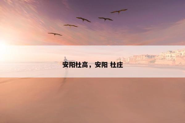 安阳杜高，安阳 杜庄