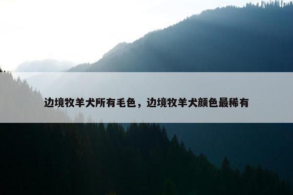 边境牧羊犬所有毛色，边境牧羊犬颜色最稀有