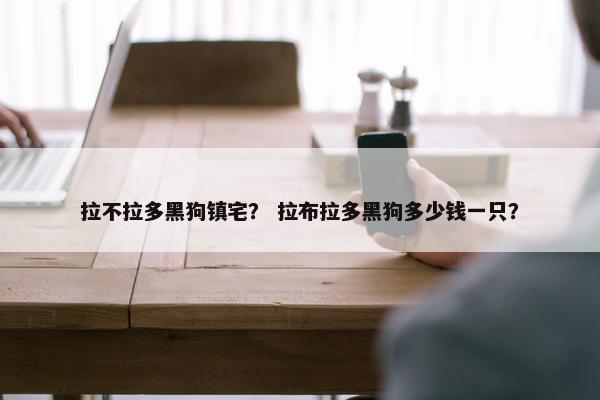 拉不拉多黑狗镇宅？ 拉布拉多黑狗多少钱一只？
