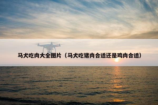 马犬吃肉大全图片（马犬吃猪肉合适还是鸡肉合适）