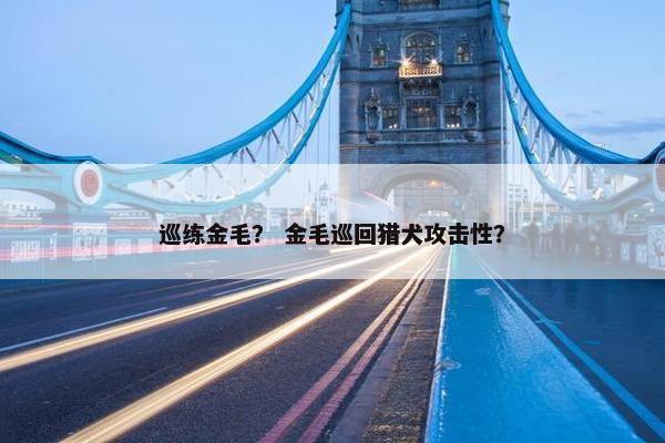 巡练金毛？ 金毛巡回猎犬攻击性？