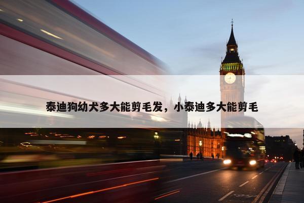 泰迪狗幼犬多大能剪毛发，小泰迪多大能剪毛