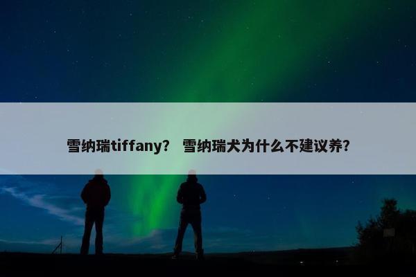 雪纳瑞tiffany？ 雪纳瑞犬为什么不建议养？