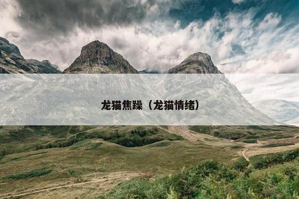 龙猫焦躁（龙猫情绪）