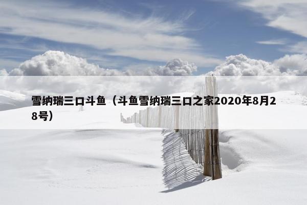雪纳瑞三口斗鱼（斗鱼雪纳瑞三口之家2020年8月28号）