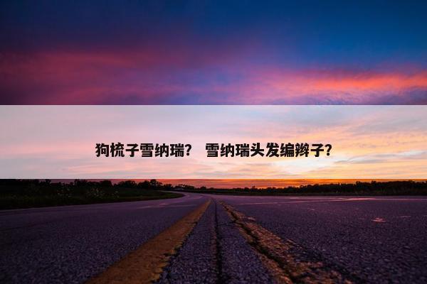 狗梳子雪纳瑞？ 雪纳瑞头发编辫子？