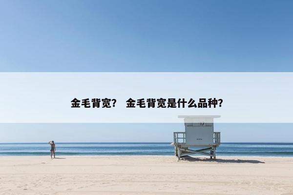 金毛背宽？ 金毛背宽是什么品种？