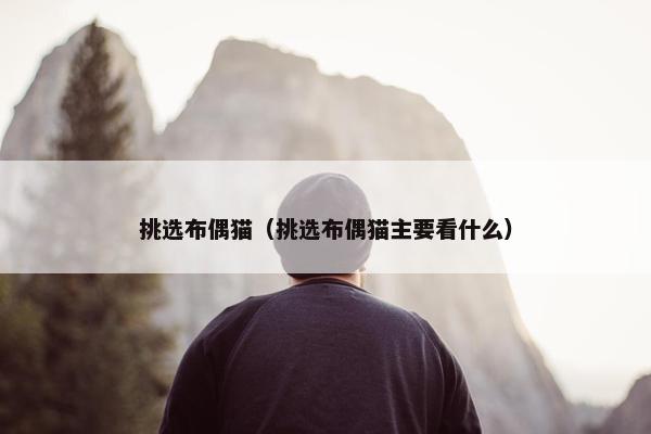 挑选布偶猫（挑选布偶猫主要看什么）