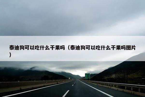 泰迪狗可以吃什么干果吗（泰迪狗可以吃什么干果吗图片）