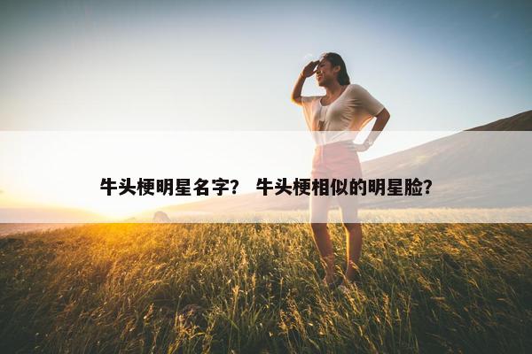 牛头梗明星名字？ 牛头梗相似的明星脸？