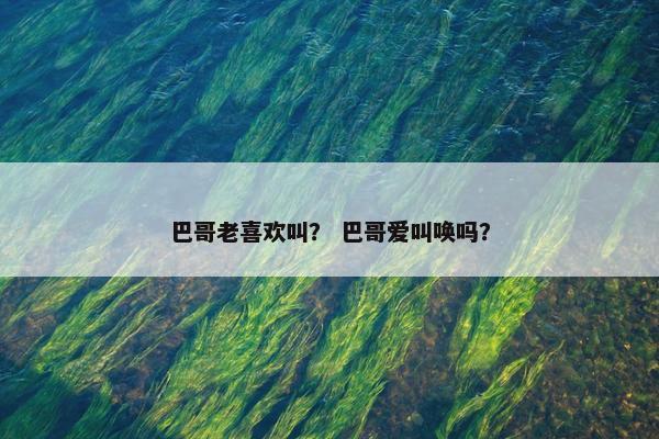 巴哥老喜欢叫？ 巴哥爱叫唤吗？