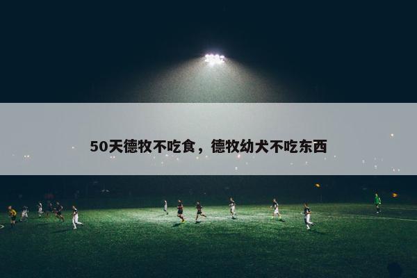 50天德牧不吃食，德牧幼犬不吃东西