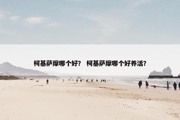 柯基萨摩哪个好？ 柯基萨摩哪个好养活？