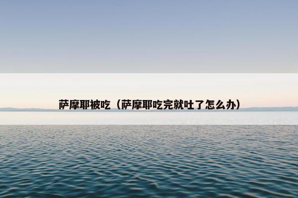 萨摩耶被吃（萨摩耶吃完就吐了怎么办）