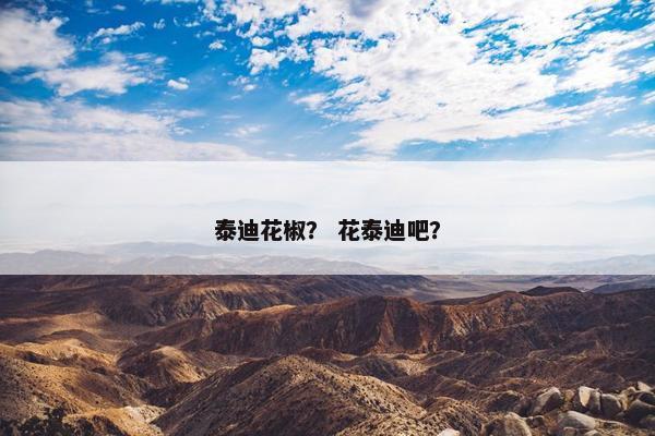 泰迪花椒？ 花泰迪吧？